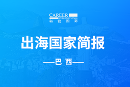 U钱包国际(中国)GO GLOBAL | 巴西国家简报